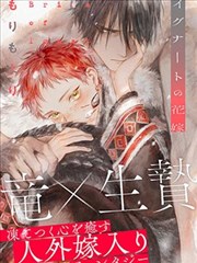 二十四页节奏表模板示意